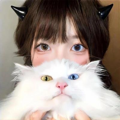 宾果玩家
