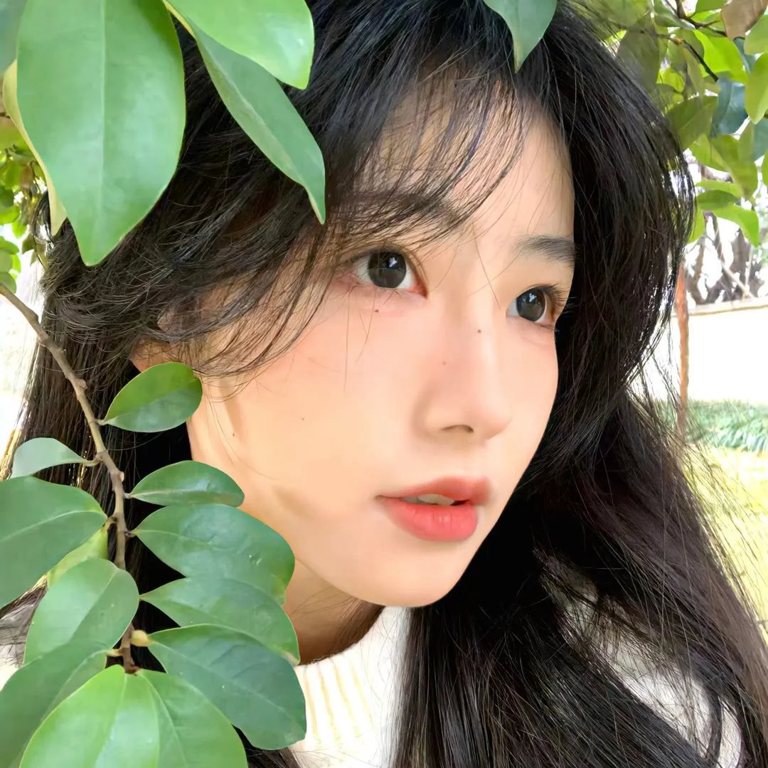 绿色屠夫